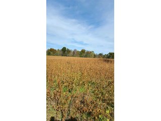 Property photo 9 - REAL ESTATE AUCTION - 366+/- ACRES OFFERED IN 5 TRACTS IN WESTERN JEFFERSON COUNTY, INDIANA